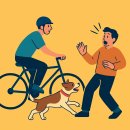 이웃집 동물병원 | 일상생활배상책임보험 꼭 들어야 하는 이유｜보장사례, 보험료 비교, 후기 총정리