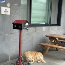 제주공항 근처, 가성비 감성숙소 &#39;도두다 펜션&#39; 찐만족 숙박후기