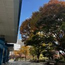 은행어린이공원 | 넓고 깔끔한 국립어린이청소년도서관 방문후기│주차, 층별 안내 등