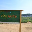 금천농장 이미지