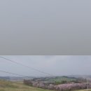 (주)세상구경