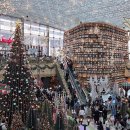 빙그루밍 이미지