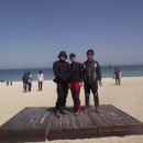 도창초등학교 이미지