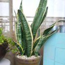 꼼지락 뜨개 이미지