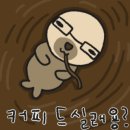 골든여행사