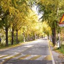 하대삼거리~신원사 이미지