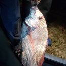 동막골 바다펜션 이미지