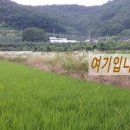 비안농장 이미지