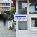 서울서이초등학교 | 제22대 국회의원 선거 투표(서울 서초구 서초2동 제2투표소/서이초등학교 다목적실) 투표 후기