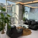 (주)에디뷰티코리아 이미지