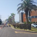 나비스호스텔 이미지