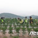 용반마을 이미지