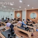 광주 서구 동천동 필라테스 양필라테스 재활 체형교정 업체 가격 소개