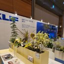 봄맞이 플랜테리어 : KLIF 실내가든솔루션, 서울리빙디자인페어 후기