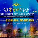 송현아부동산공인중개사사무소 이미지