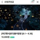청수 곶자왈 | 제주 반딧불이 축제 청수곶자왈 vs 산양큰엉곶 비교 총정리 (아이랑 어디가 더 좋을까?)