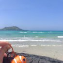 수중산책 이미지