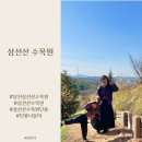 남매점빵 | 당진 삼선산 수목원, 알록달록 예쁜 색으로 물든 뷰맛집 삼선산 수목원 단풍 나들이