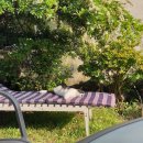 제주 삼춘네 민박 이미지