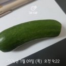 상동더힐마취통증의학과의원 | 허리는 아프지만 놀러는 가야해.. 평범한 날이 없는 무척이 일상💉