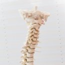 이원행 화접몽한의원 이미지