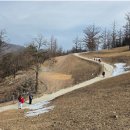 태백농장 이미지