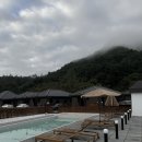 스테이펫 이미지