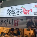 청춘입니닭