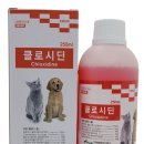 이화바로동물약국 네이버블로그