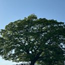 라두가마트