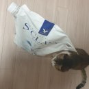 화이트펫# | 에스클래스 펫 화이트 제올라이트 체험단후기