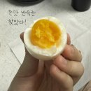 버드나무주유소 | 2026년 3월 일상글 ⚅