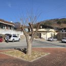 상금2리경로당 이미지