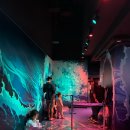 해양정원 | 씨라이프 코엑스 아쿠아리움 해양탐험선 이용후기