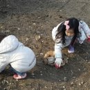 자매 농장 이미지