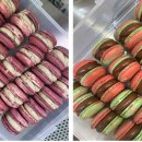 스윗가든 이미지