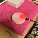 (주)맑은숨의료기 | [반려동물용품] 캣토피아 히노끼 편백 산소방 후기 | 14살 나나를 위한 숨과 안심의 공간