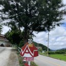 거창 에이글램핑 이미지