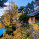 속리산샘물