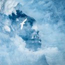 2024년 제11회 BigPicture 자연 세계 사진 공모전 수상작 이미지