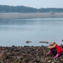 홍길동민박2 이미지