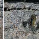 여수 235 이미지