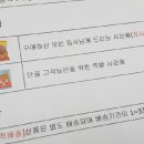 브라운 펫살롱 이미지