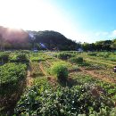 실버농장 이미지