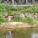 여수봉산초등학교 이미지