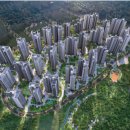 롯데파크공인중개사사무소 이미지