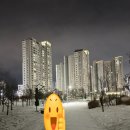 능수버들공원로 이미지