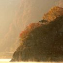 도담중학교 이미지