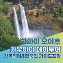 올인원투어 | 🌺 [하와이 여행] 몸만 가면 끝! 카우아이 섬 1일 올인원 투어 완벽 후기 (왕복 항공권+한국인 가이드) ✈️⛰️