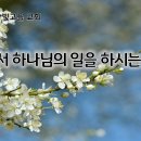 2월13일(목) 성전에서 하나님의 일을 하시는 예수님! 이미지